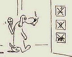 Don Condor фотография