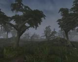 Morrowind 2012-04-25 23-42-34-47.jpg