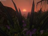 Morrowind 2012-04-14 13-10-33-84.jpg